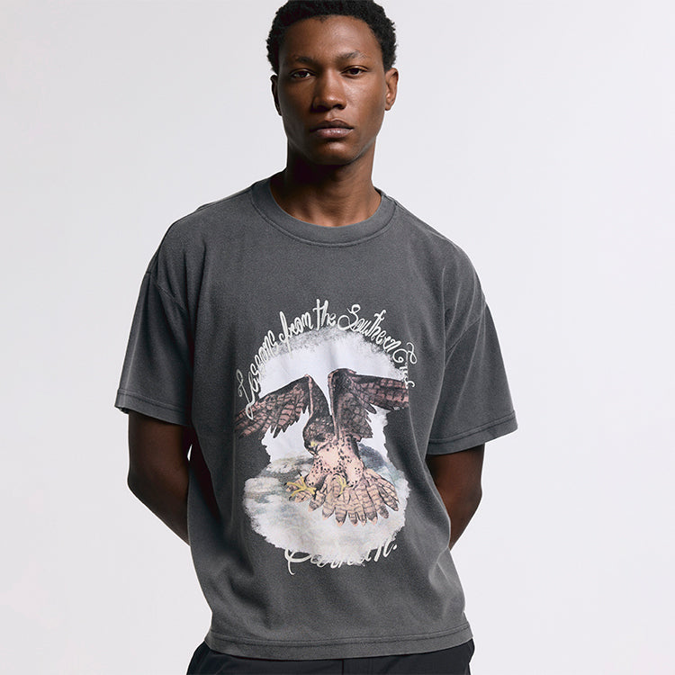 Camiseta “Falcon” Estonada