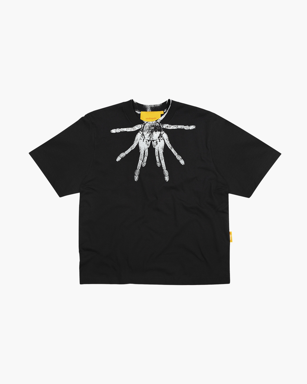 Camiseta "Aracnídeo"