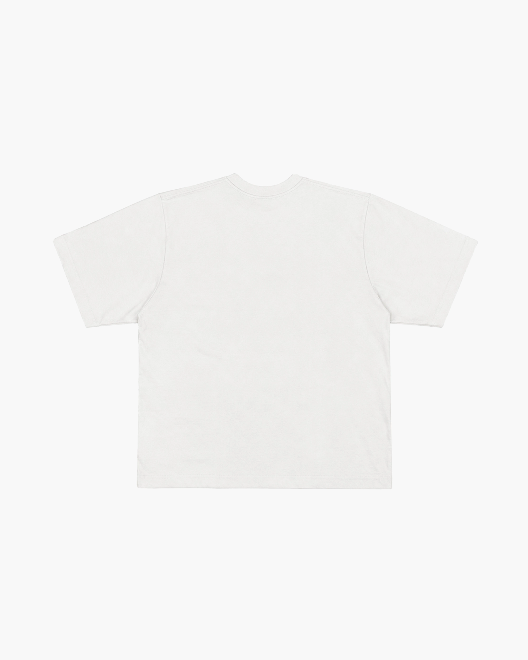 Camiseta "Artística"